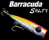 Barracuda Salty